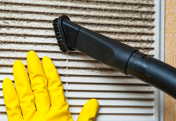 Best Affordable Duct Cleaning Services  in Millcreek, UT